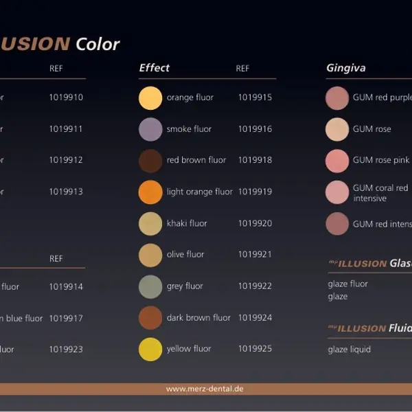 my ILLUSION color.jpg
